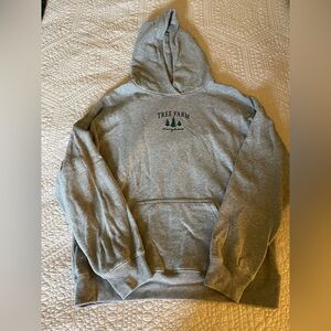 Hollister Gray Hoodie Sweater